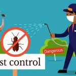 مكافحة الحشرات ورش المبيدات بجازان